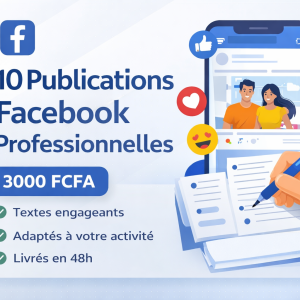 Je vais rédiger 10 publications Facebook professionnelles pour votre page
